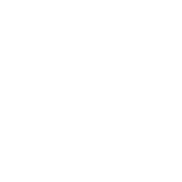 free-shiping-icon