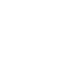 professional-design-icon
