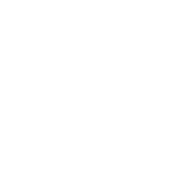 secure-payment-icon